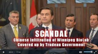 Scandal Thumb Scandal Thumb